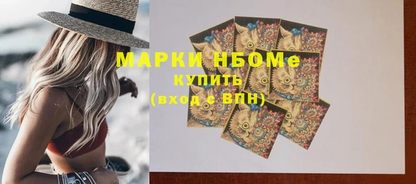 дмт Ельня