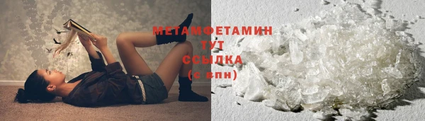 PSILOCYBIN Елабуга