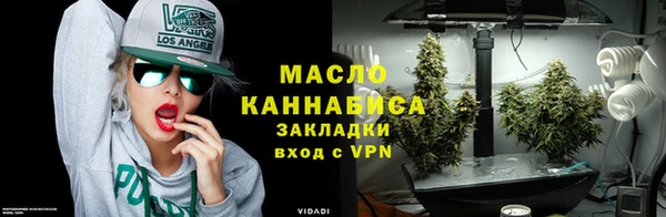 дмт Ельня