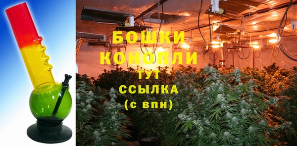 дмт Ельня