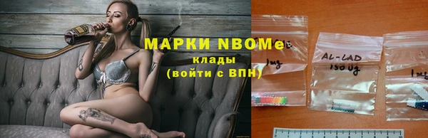 PSILOCYBIN Елабуга