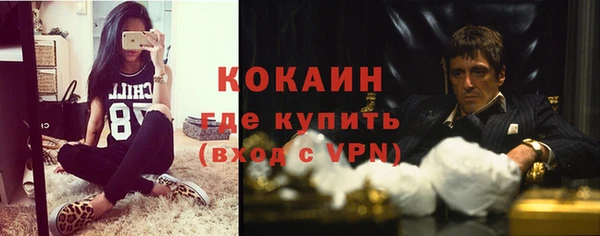дмт Ельня