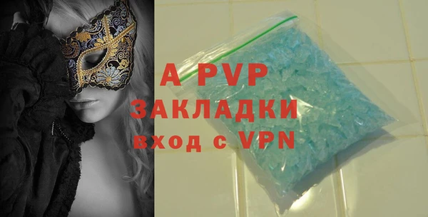 PSILOCYBIN Елабуга