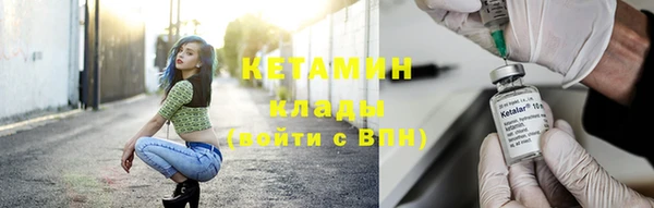 дмт Ельня