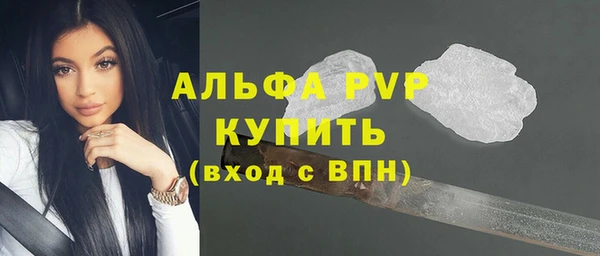 PSILOCYBIN Елабуга