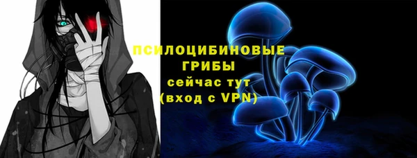 mdpv Елизово