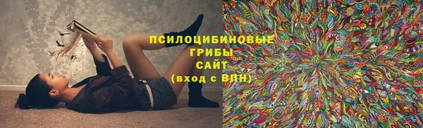 mdpv Елизово