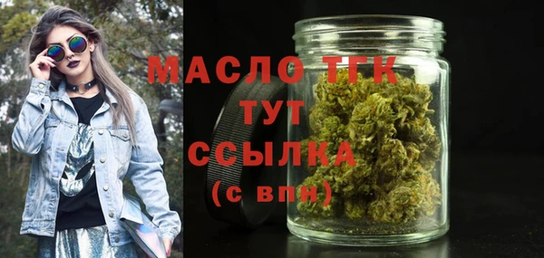 дмт Ельня