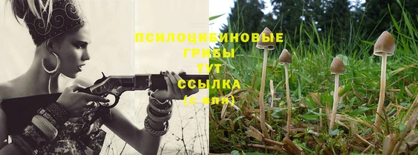 mdpv Елизово