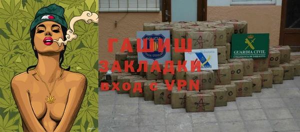 дмт Ельня