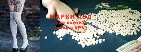 PSILOCYBIN Елабуга