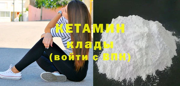 дмт Ельня