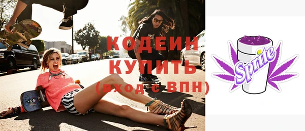 дмт Ельня