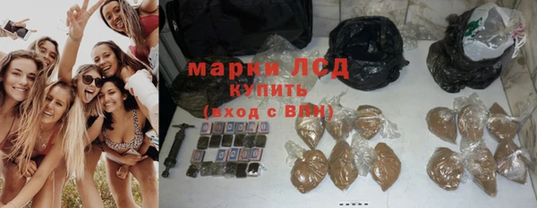 mdpv Елизово