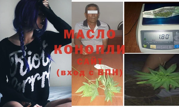 дмт Ельня