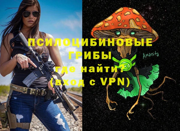 mdpv Елизово