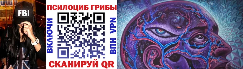 Купить закладки  Кизляр  Галлюциногенные грибы Psilocybe 