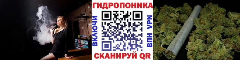 Марихуана THC 21%  Купить где  Кизляр 